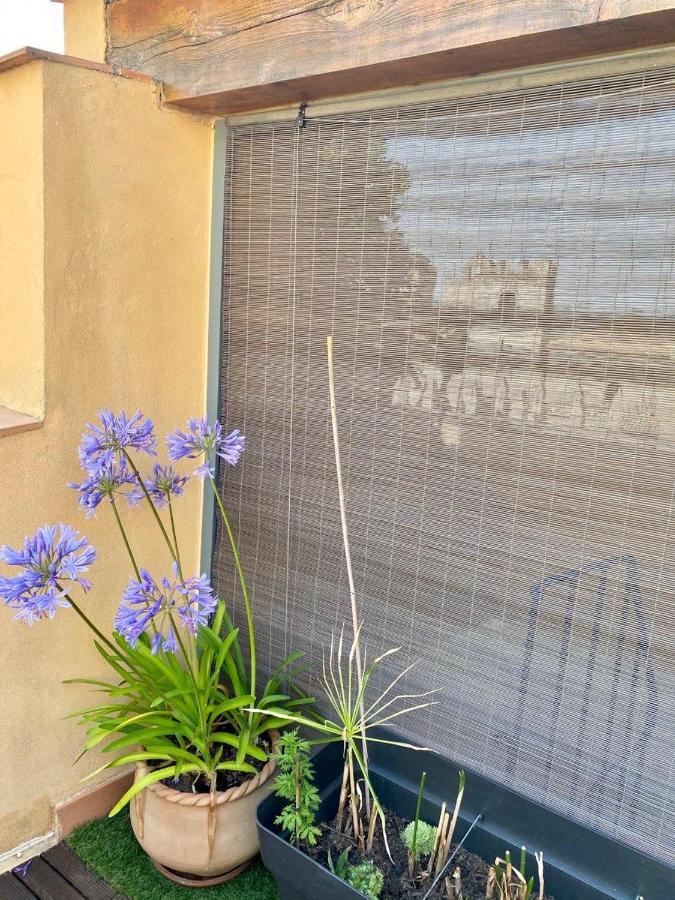 Tresors De La Cathedrale, Maison De Ville Sur 4 Niveaux ナルボンヌ エクステリア 写真
